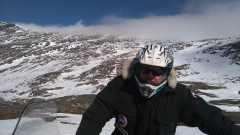 Nalle
