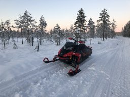 polaris^