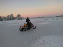retkikelkkailija