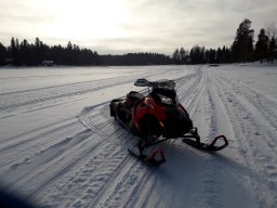 Aleksi