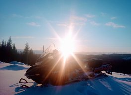 upi_268