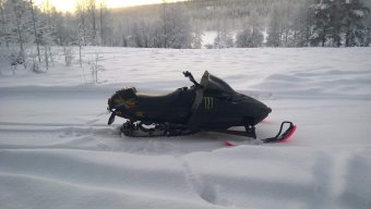 Oikarainen