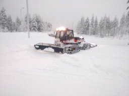 Höyläri