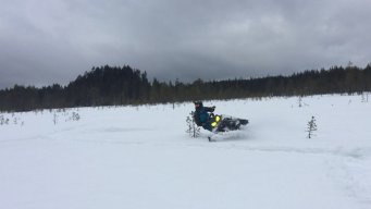 ottuu