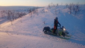 ailu-petteri