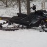 antero79