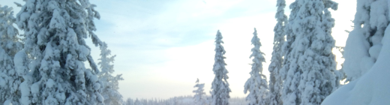 FFoxi