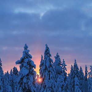 Tammikuinen kaamosaurinko pilkistää.