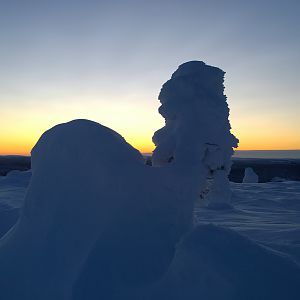 Kaamos joulukuussa 2015