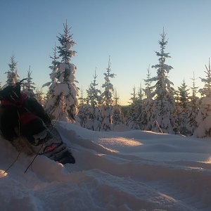 Tauko paikallaan