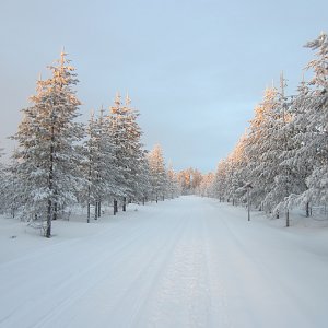 Rovaniemi 12.1.2020