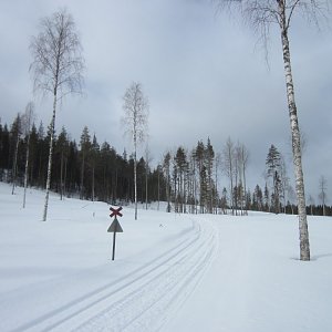 Rovaniemi-Ylläs