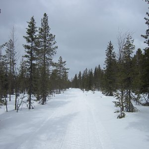 Kemijärvi 28.4