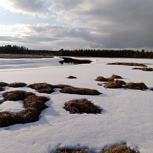 Kesä tekee tuloaan Sotkamossa.