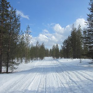 Käyrämö, Rovaniemi 17.5.2020