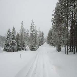 Iso-Vietonen - Miekojärvi