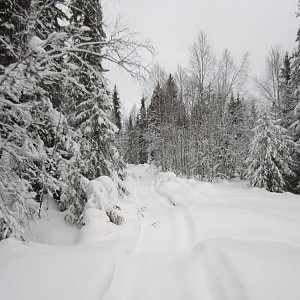 Alposjärvi